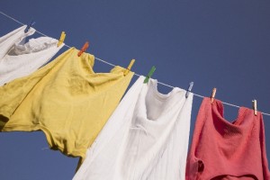 夏-汗-皮脂-変色-黄色-シミ-汚れ-目立つ-脇-エリ-クリーニング-洗濯-ブログ
